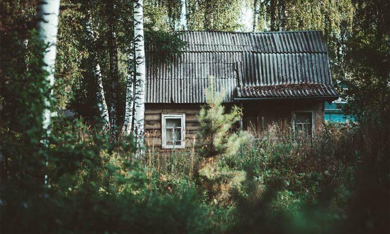 森林里的小木屋.